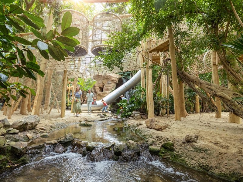Impressie van de Jungle Dome op Center Parcs Het Heijderbos in Heijen
