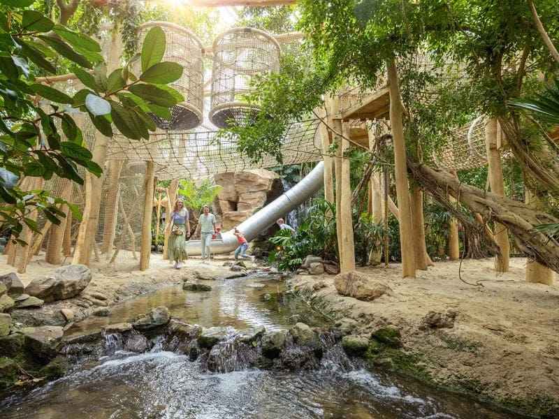 Impressie van de indoor speeljungle op het Center Parcs vakantiepark in Heijen