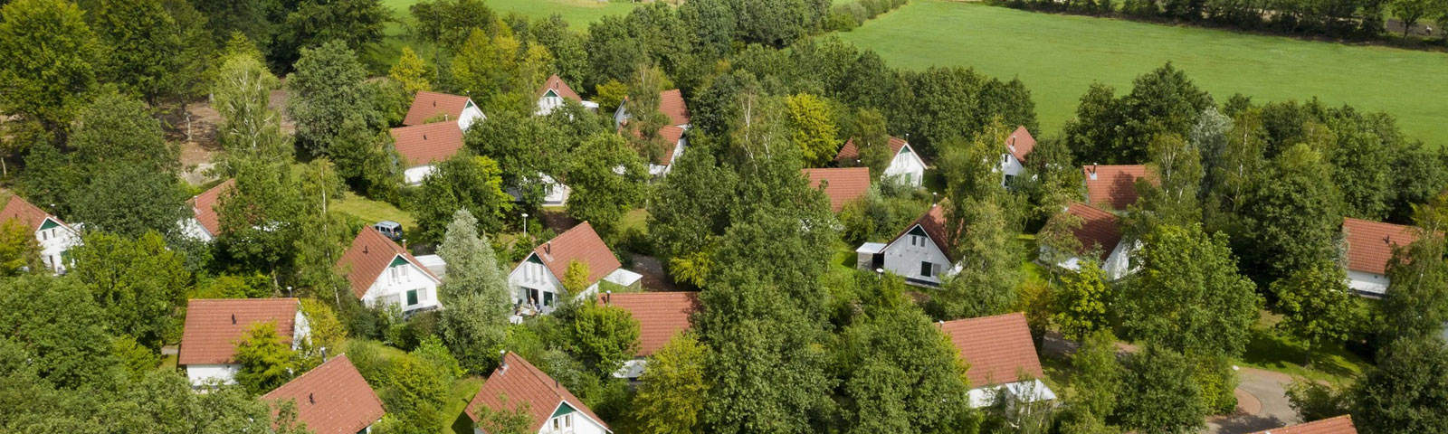 Illustratieve afbeelding bij 'Summio Bungalowpark Het Drentse Wold'