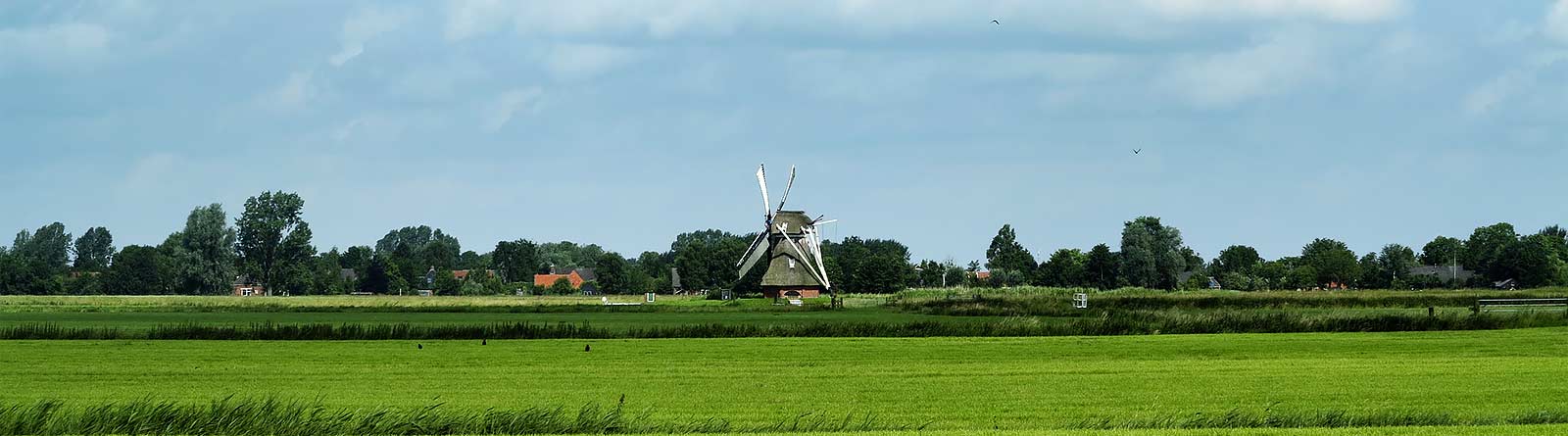 Illustratieve afbeelding bij 'Vakantiepark zoeken'