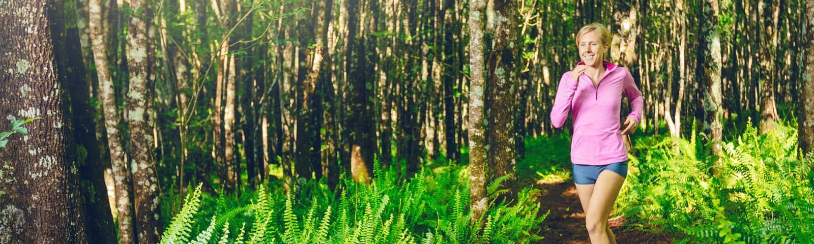 Illustratieve afbeelding bij 'Vakantiepark in het bos'