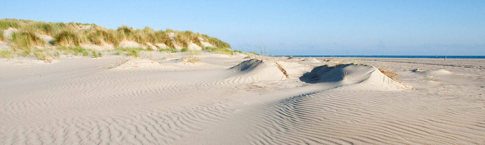 Illustratieve afbeelding bij 'Vakantiepark Vlieland'