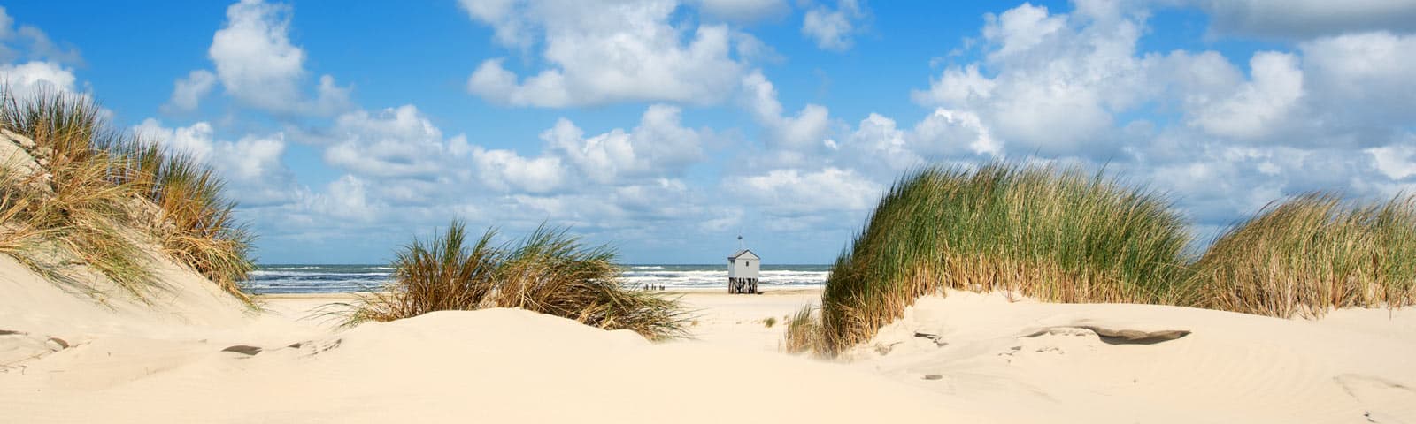 Illustratieve afbeelding bij 'Vakantiepark Waddeneilanden'
