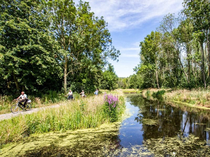 Omgeving van Parc de IJsselhoeve