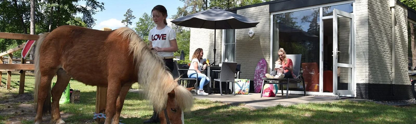 Illustratieve afbeelding bij '6-persoons Pony bungalow'