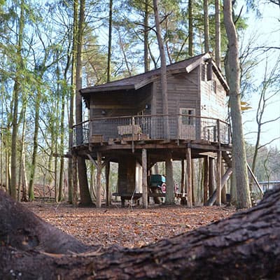 Boomhut overnachting