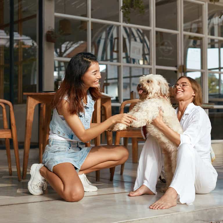 Vijf keer een speciaal vakantiehuisje met je hond
