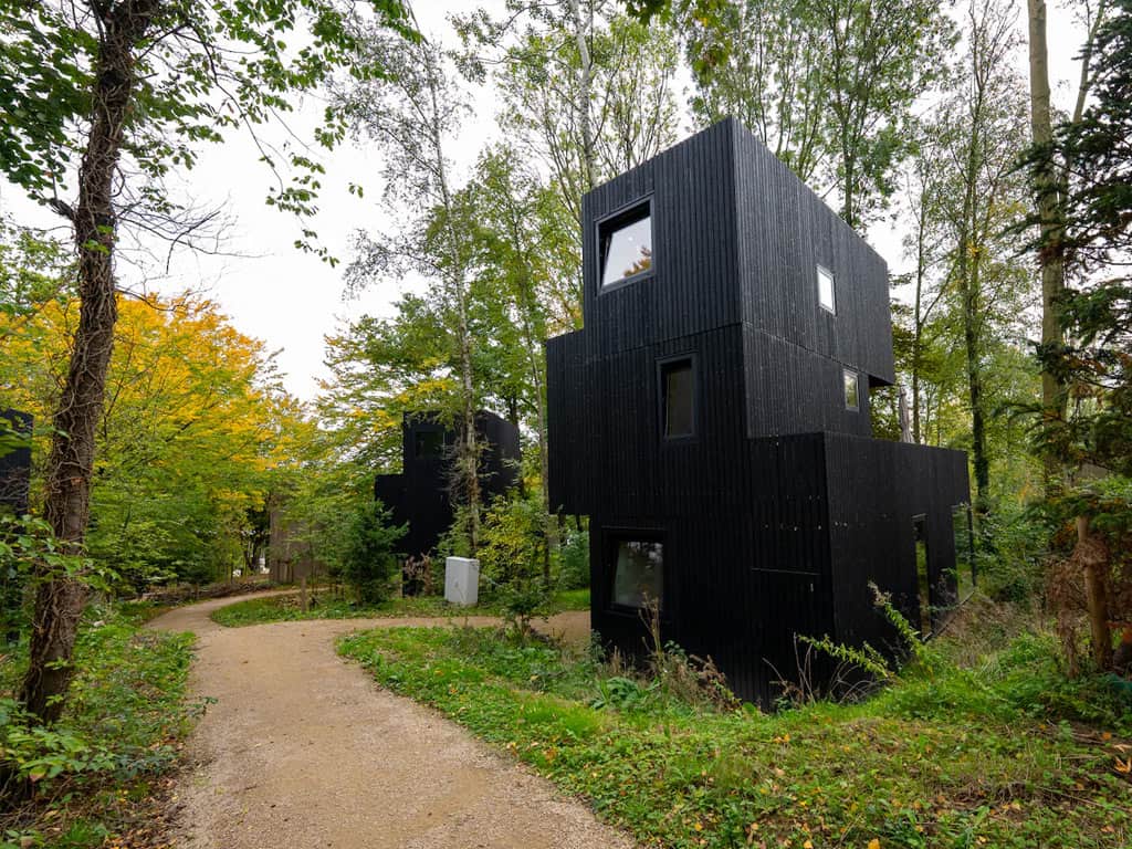 Impressie van de Treehouse lodge voor 6 personen op Roompot Gulpen, in de heuvels in Limburg
