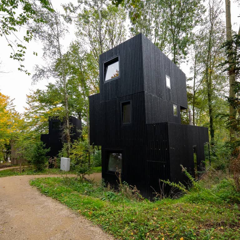 6-persoons lodge Treehouse
