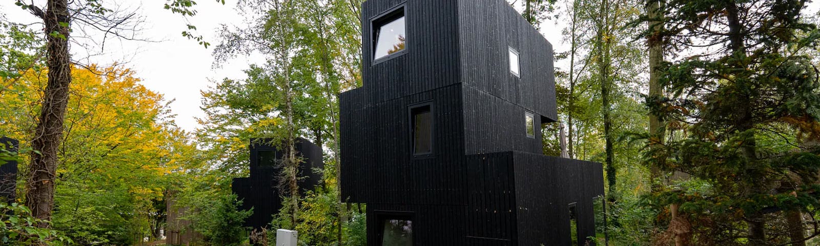 Illustratieve afbeelding bij '6-persoons lodge Treehouse'