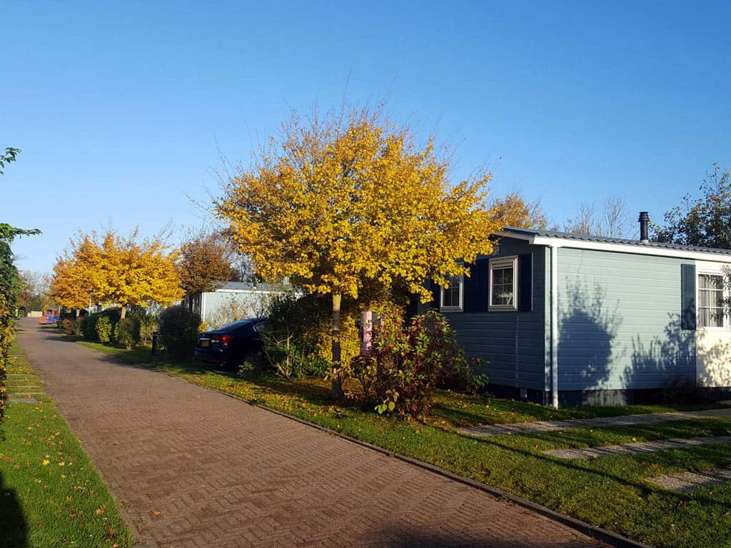 Impressie van chalet Strandloper voor 6 personen op camping Molecaten Park Wijde Blick in Renesse