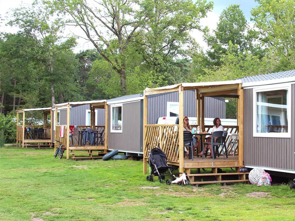 Impressie van chalet Koolmees voor 4 personen op Molecaten park Kuierpad in Wezuperbrug, Drenthe
