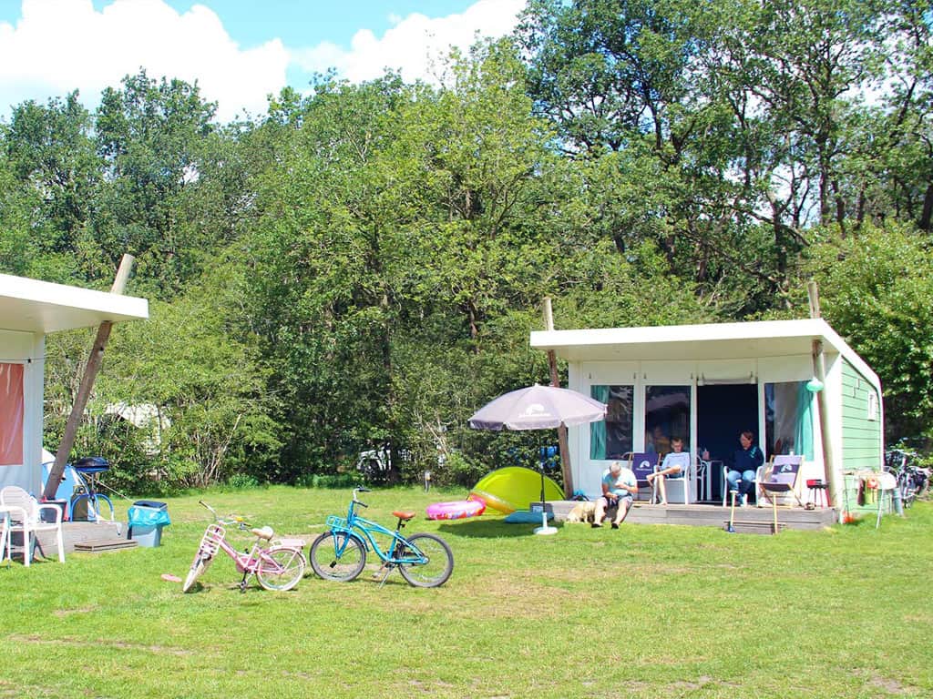 Impressie van kampeer cabin Vlinder voor 5 personen op Molecaten Park Kuierpad in Wezuperbrug, Drenthe