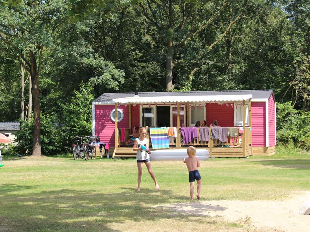 Impressie van chalet Lupine voor 6 personen op Molecaten Park Bosbad Hoeven in Brabant