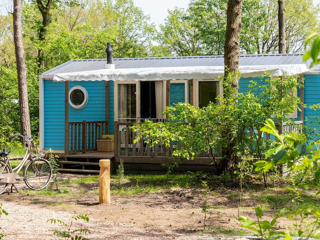 Impressie van chalet Lupine voor 6 personen op Molecaten park Kuierpad in Wezuperbrug, Drenthe
