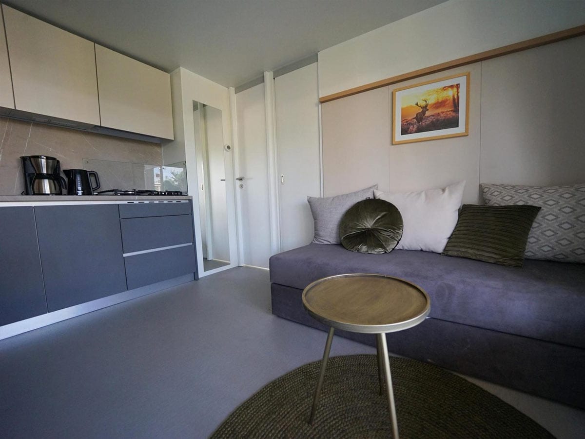 Impressie van de inrichting van het 4-persoons chalet Cosy Unique 4 op EuroParcs Veluwemeer