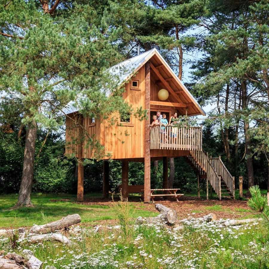 5-persoons chalet Zwerfhut 5