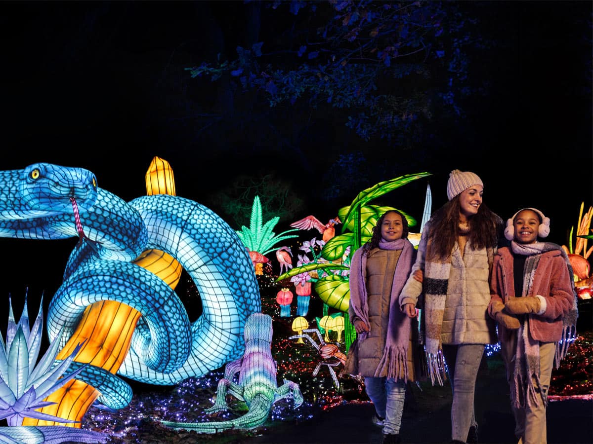 Sfeerimpressie van het Light Safari evenement op Safaripark Beekse Bergen