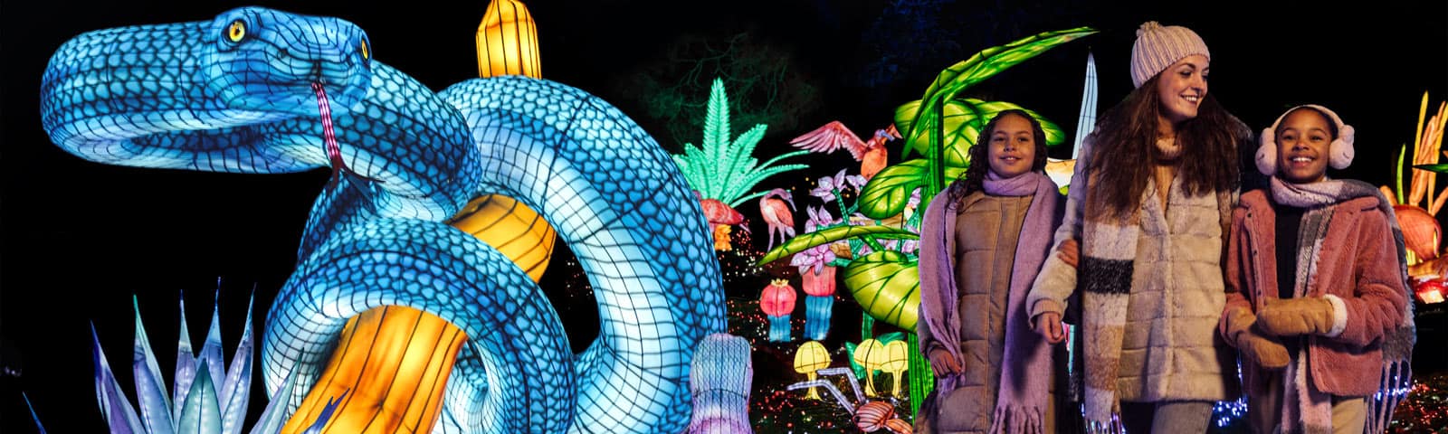 Illustratieve afbeelding bij 'Light Safari Beekse Bergen, tip voor deze winter'
